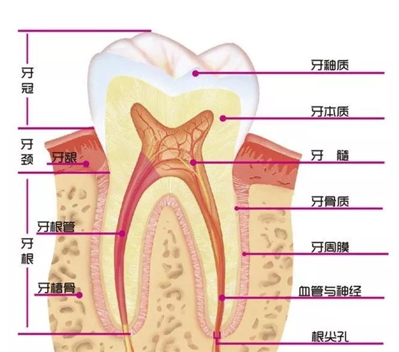 长沙牙齿矫正