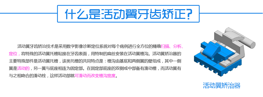 活动翼矫正总_01.png