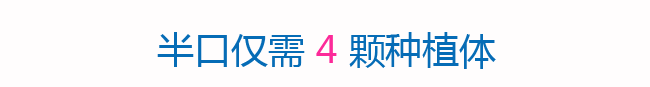 即刻种植半口无牙，全口无牙_11.png